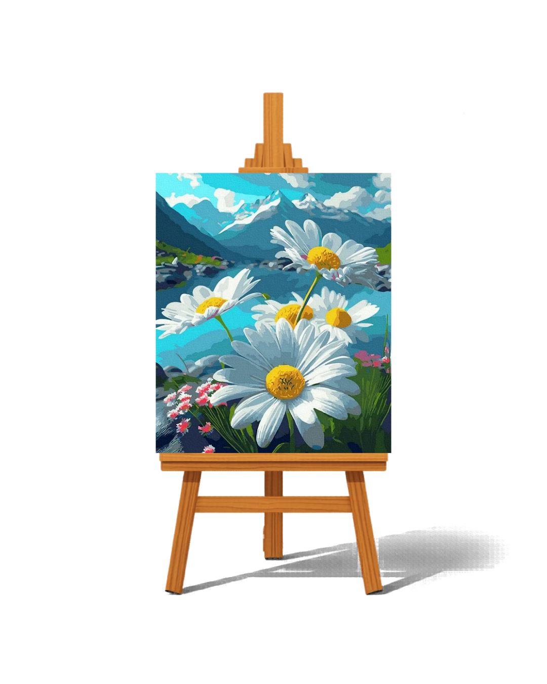Alpine Daisy Pause