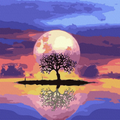 Moon Reflection Ritual